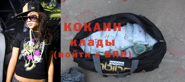 сатива Богданович
