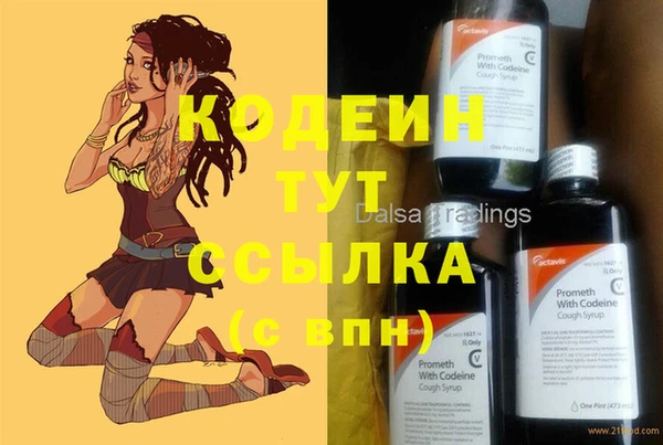 сатива Богданович