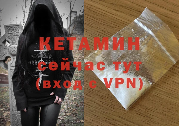 сатива Богданович