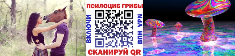 Галлюциногенные грибы Psilocybine cubensis Киреевск